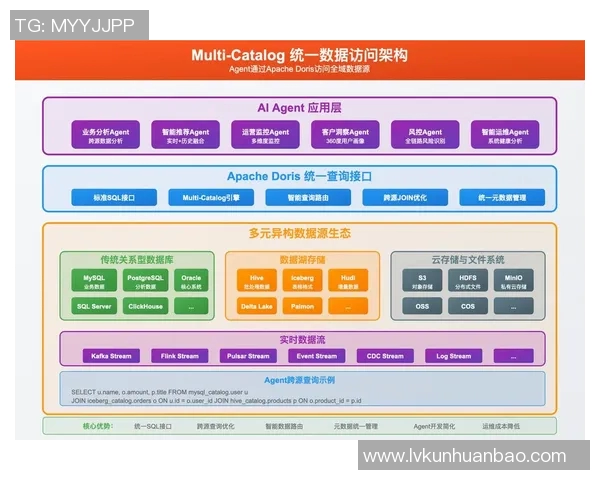 刘秀英专访揭秘CSGO职业生涯与心路历程的精彩瞬间实时数据